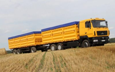 Транспорт для перевозки зерна. Автомобили МАЗ - Белгород, заказать или взять в аренду