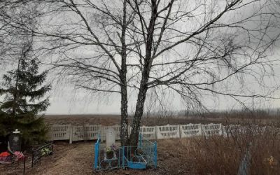 Спил и вырубка деревьев - Белгород, цены, предложения специалистов