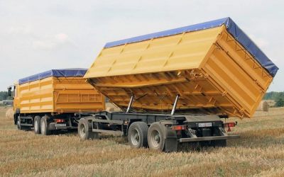Услуги зерновозов для перевозки зерна - Грайворон, цены, предложения специалистов