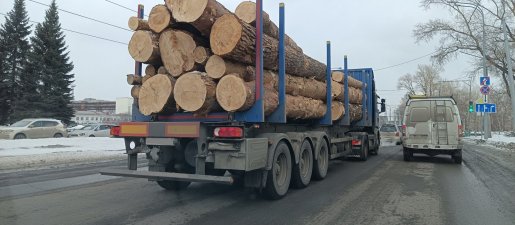 Поиск транспорта для перевозки леса, бревен и кругляка стоимость услуг и где заказать - Белгород